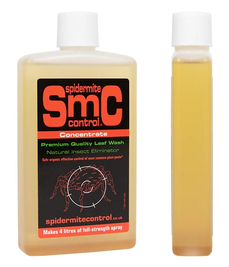 Letterbox friendly bottle of Spider Mite Control from Concentrate
